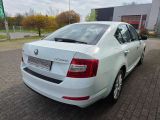 Skoda Octavia bei Sportwagen.expert - Abbildung (8 / 15)
