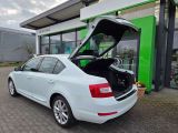 Skoda Octavia bei Sportwagen.expert - Abbildung (13 / 15)