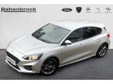 Ford Focus ST bei Sportwagen.expert - Abbildung (14 / 15)