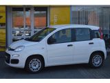 Fiat Panda bei Sportwagen.expert - Abbildung (2 / 13)
