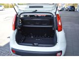 Fiat Panda bei Sportwagen.expert - Abbildung (5 / 13)