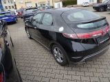 Honda Civic bei Sportwagen.expert - Abbildung (10 / 15)