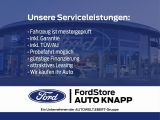 Ford Edge bei Sportwagen.expert - Abbildung (3 / 3)