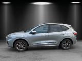 Ford Kuga bei Sportwagen.expert - Abbildung (2 / 15)