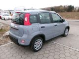 Fiat Panda bei Sportwagen.expert - Abbildung (4 / 15)