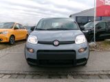 Fiat Panda bei Sportwagen.expert - Abbildung (2 / 15)