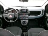 Fiat Panda bei Sportwagen.expert - Abbildung (8 / 15)