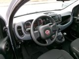 Fiat Panda bei Sportwagen.expert - Abbildung (7 / 15)