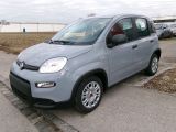 Fiat Panda bei Sportwagen.expert - Abbildung (3 / 15)