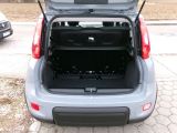 Fiat Panda bei Sportwagen.expert - Abbildung (13 / 15)