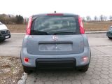 Fiat Panda bei Sportwagen.expert - Abbildung (5 / 15)