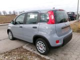 Fiat Panda bei Sportwagen.expert - Abbildung (6 / 15)