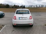 Fiat 500 bei Sportwagen.expert - Abbildung (5 / 15)