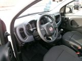 Fiat Panda bei Sportwagen.expert - Abbildung (14 / 15)