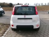 Fiat Panda bei Sportwagen.expert - Abbildung (5 / 15)