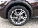 DS Automobiles DS 7 bei Sportwagen.expert - Abbildung (5 / 15)