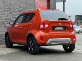 Suzuki Ignis bei Sportwagen.expert - Abbildung (6 / 15)