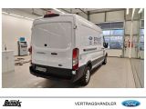 Ford Andere bei Sportwagen.expert - Abbildung (6 / 12)