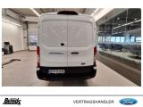 Ford Andere bei Sportwagen.expert - Abbildung (4 / 12)