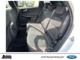 Ford Kuga bei Sportwagen.expert - Abbildung (8 / 15)