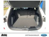 Ford Kuga bei Sportwagen.expert - Abbildung (7 / 15)