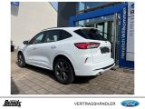 Ford Kuga bei Sportwagen.expert - Abbildung (5 / 15)