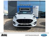 Ford Kuga bei Sportwagen.expert - Abbildung (2 / 15)