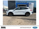 Ford Kuga bei Sportwagen.expert - Abbildung (3 / 15)