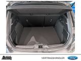 Ford Focus bei Sportwagen.expert - Abbildung (6 / 15)