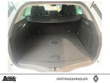 Renault Megane bei Sportwagen.expert - Abbildung (5 / 11)