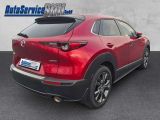 Mazda CX-30 bei Sportwagen.expert - Abbildung (5 / 15)