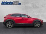 Mazda CX-30 bei Sportwagen.expert - Abbildung (6 / 15)