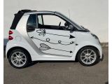 Smart smart fortwo bei Sportwagen.expert - Abbildung (4 / 15)