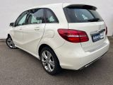 Mercedes-Benz B-Klasse bei Sportwagen.expert - Abbildung (5 / 13)