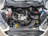 Ford EcoSport bei Sportwagen.expert - Abbildung (15 / 15)