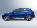 Audi SQ5 bei Sportwagen.expert - Abbildung (4 / 15)