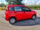 Fiat Panda bei Sportwagen.expert - Abbildung (5 / 15)