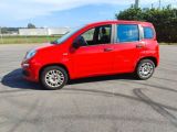 Fiat Panda bei Sportwagen.expert - Abbildung (3 / 15)