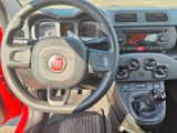 Fiat Panda bei Sportwagen.expert - Abbildung (7 / 15)