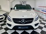 Mercedes-Benz GT-Klasse bei Sportwagen.expert - Abbildung (2 / 15)