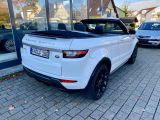 Land Rover Range Rover Evoque bei Sportwagen.expert - Abbildung (7 / 15)