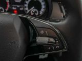 Skoda Fabia bei Sportwagen.expert - Abbildung (15 / 15)