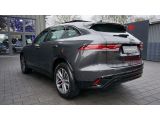 Jaguar F-Pace bei Sportwagen.expert - Abbildung (13 / 15)