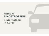 Renault Zoe bei Sportwagen.expert - Abbildung (10 / 10)