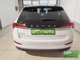 Skoda Scala bei Sportwagen.expert - Abbildung (12 / 14)