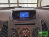 Ford EcoSport bei Sportwagen.expert - Abbildung (7 / 14)