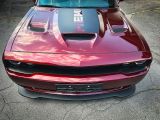 Dodge Challenger bei Sportwagen.expert - Abbildung (12 / 15)