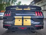 Ford Mustang bei Sportwagen.expert - Abbildung (15 / 15)