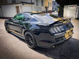 Ford Mustang bei Sportwagen.expert - Abbildung (7 / 15)