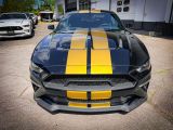Ford Mustang bei Sportwagen.expert - Abbildung (2 / 15)